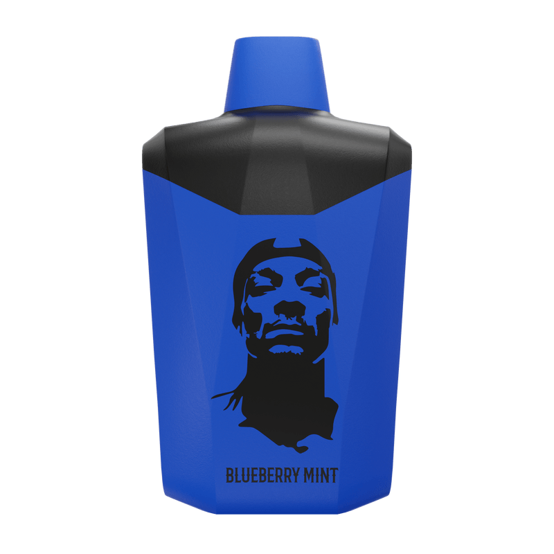 Snoop Dogg Death Row blueberrymint best vape in abu dhabi